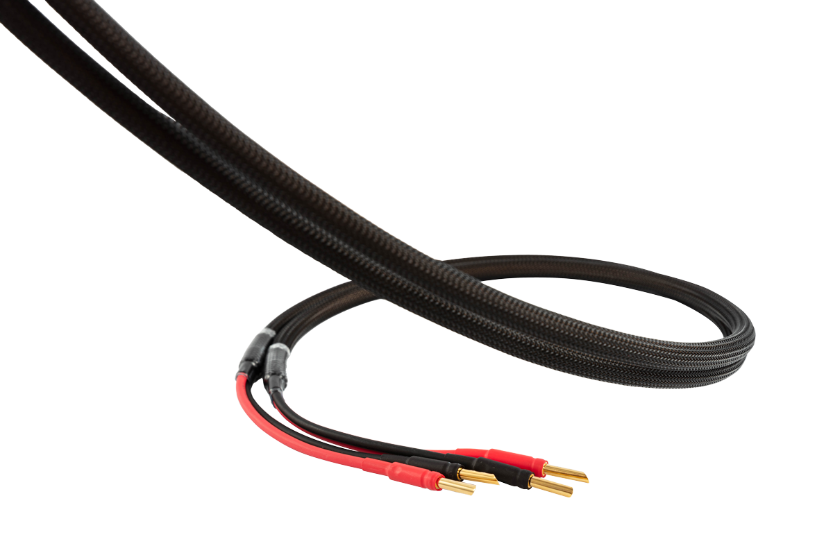 C-3SP Speaker Cable (2.5M)